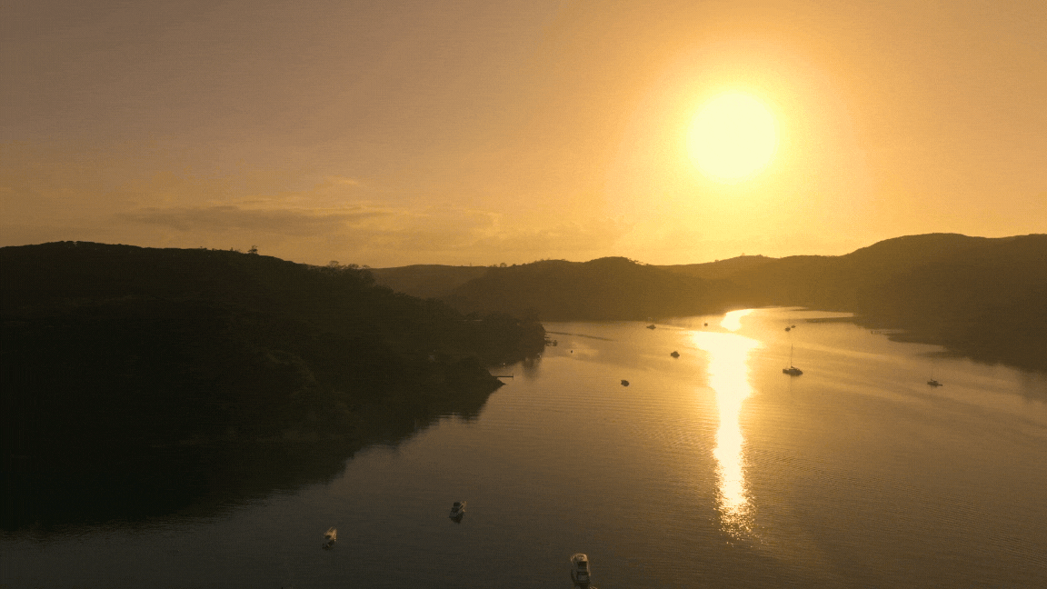 Image without description