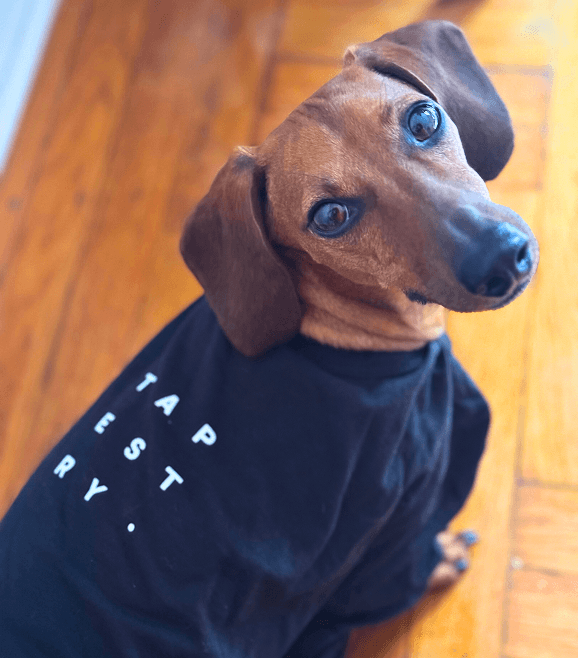 Three colleagues smiling on a rooftop with the Bay Bridge and waterfront in the background.